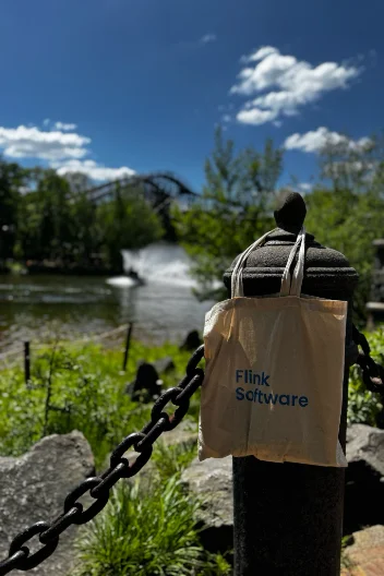 Flink Software tas in het wild